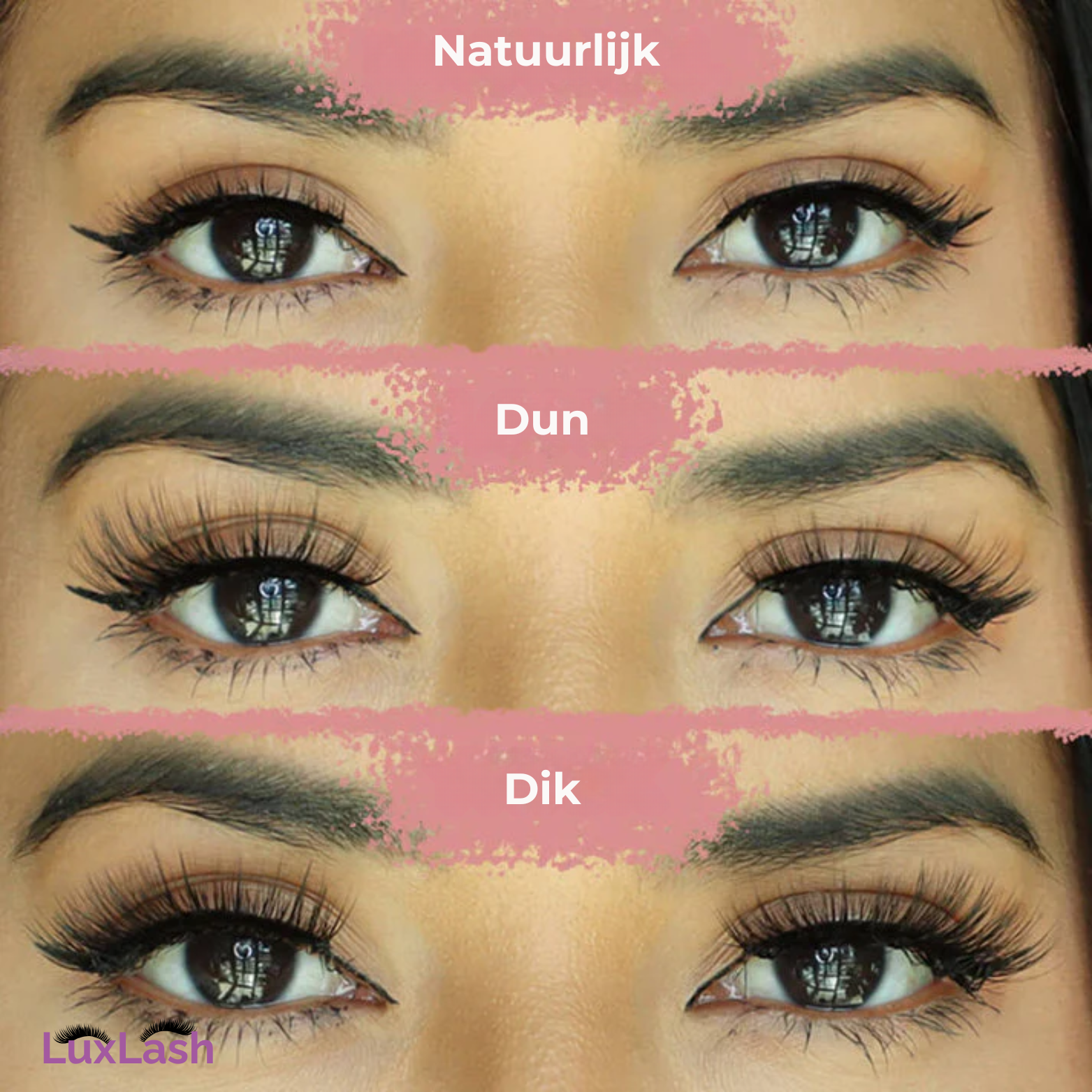 LuxLash Cat Eye Wimpers