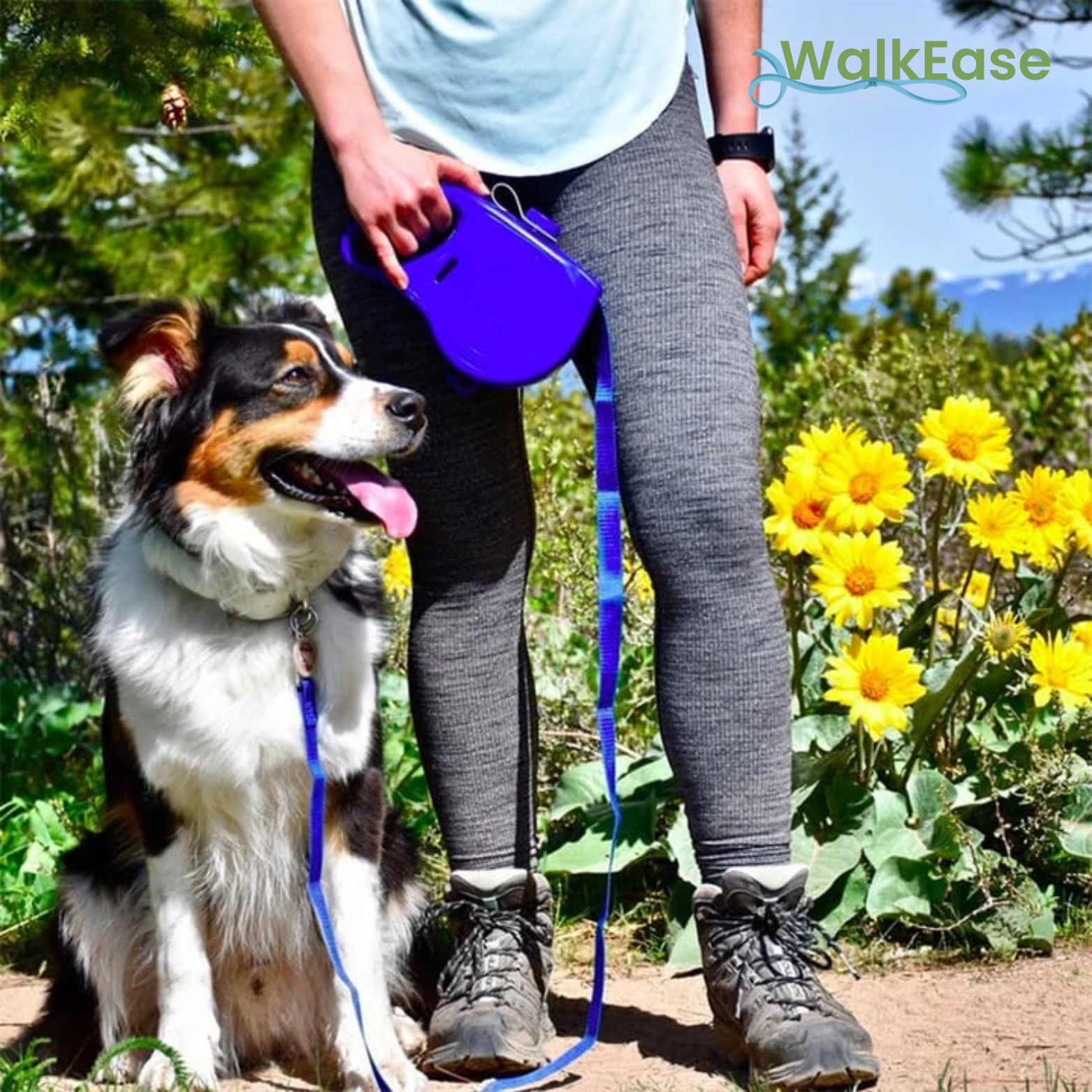 WalkEase 5-in-1 Hondenriem