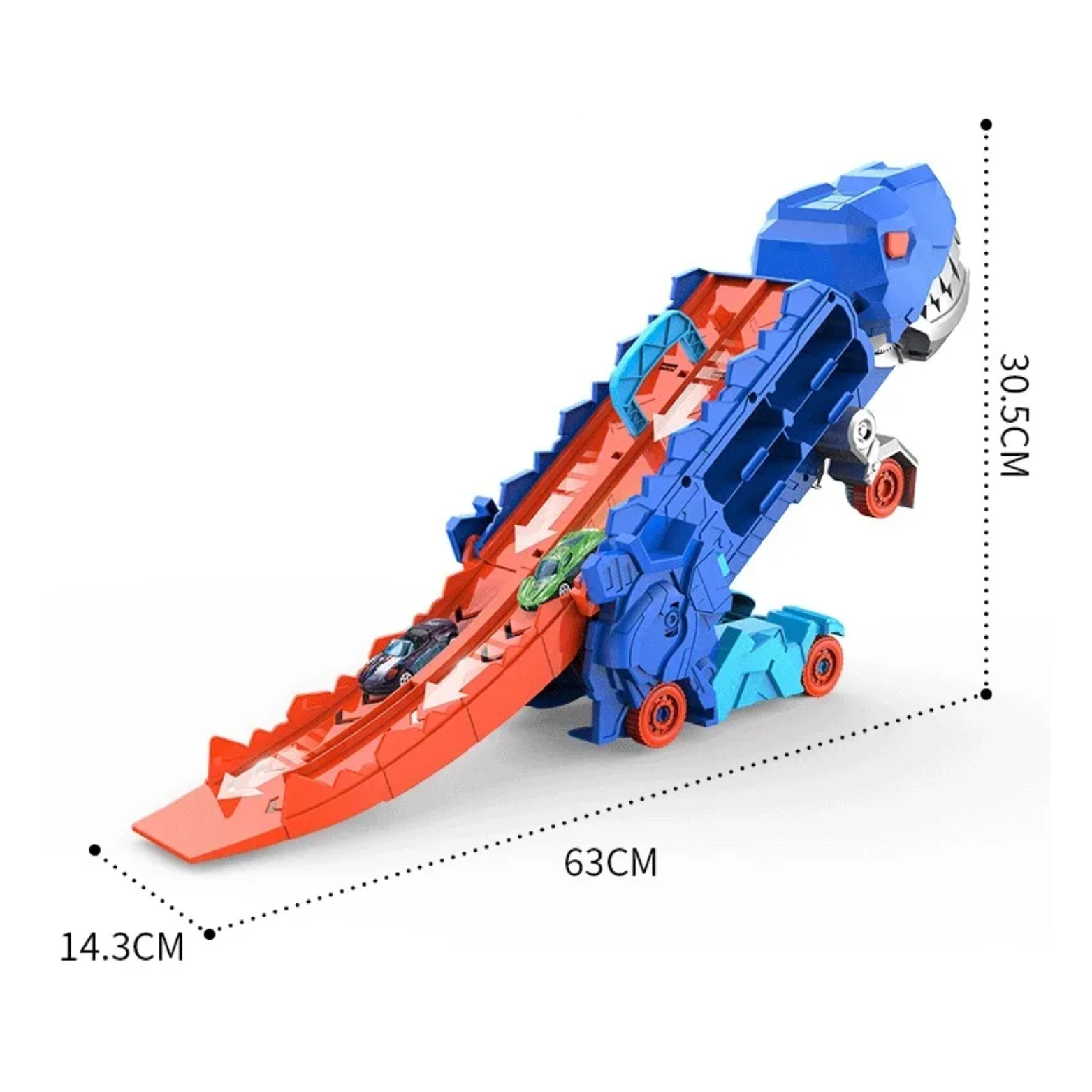 Vigna Dino Transformer