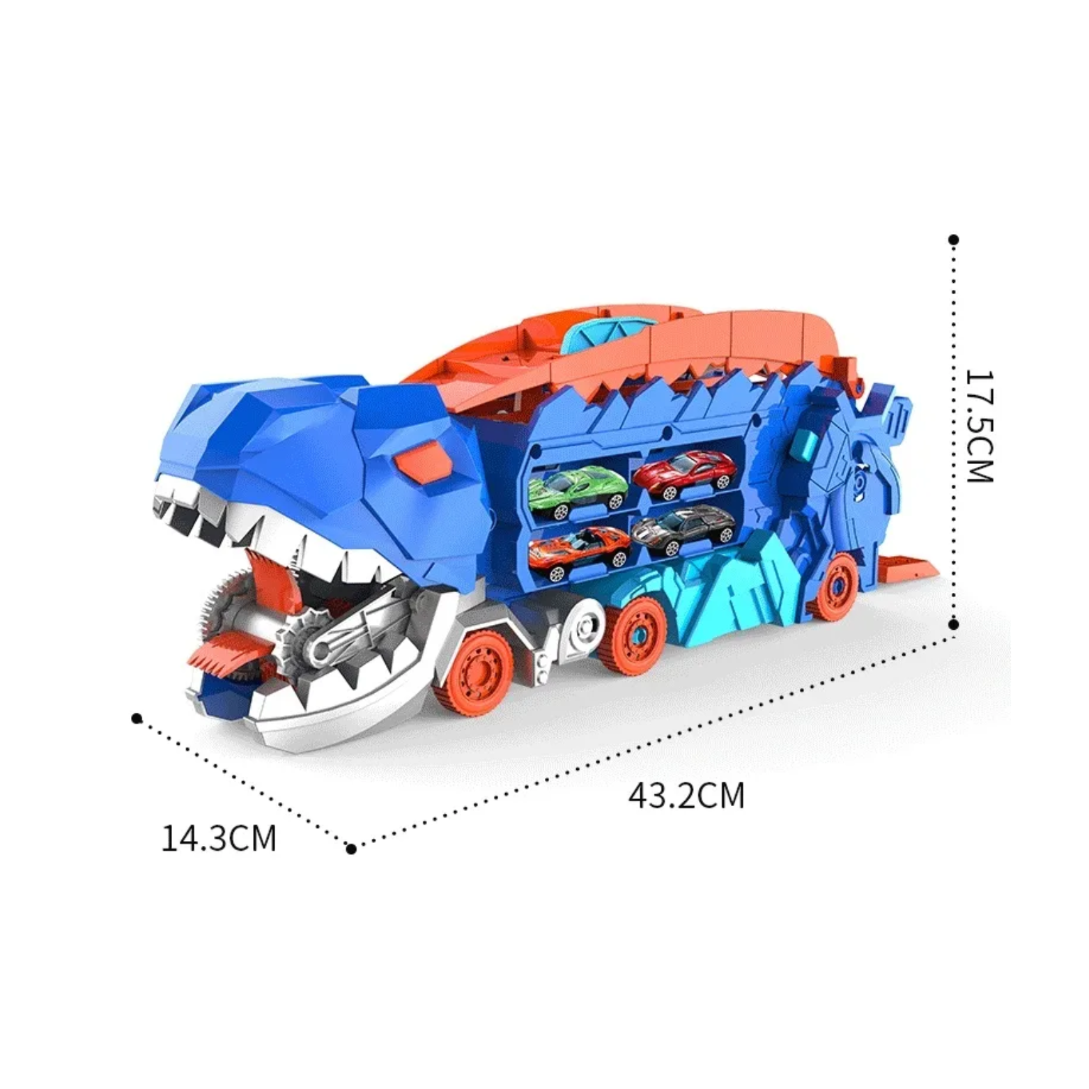 Vigna Dino Transformer